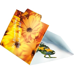 Tarjeta de semillas Bumble