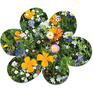 Tarjeta de semillas Bloom