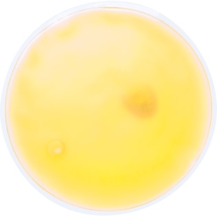 Bolsa de calor Bisbee