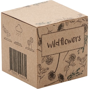 Bola de semillas Dyke