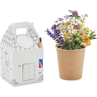 Kit de cultivo Cillian