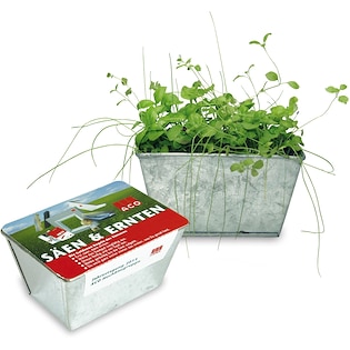 Jardín de especias Herb